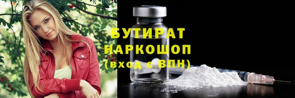 индика Корсаков