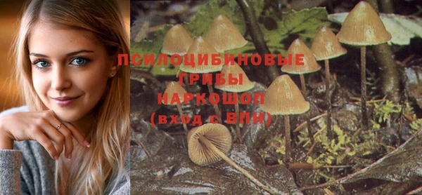 индика Корсаков