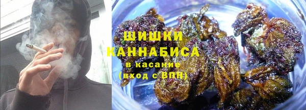 индика Корсаков