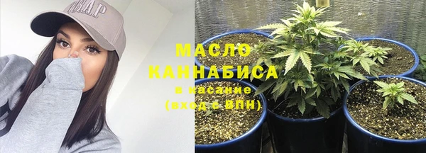 индика Корсаков