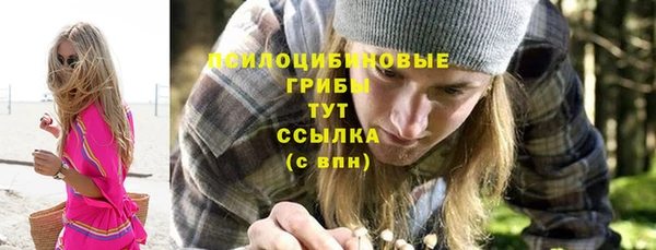 индика Корсаков