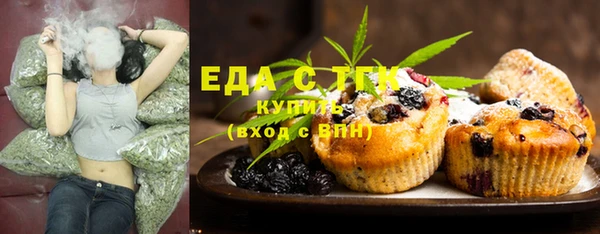 индика Корсаков