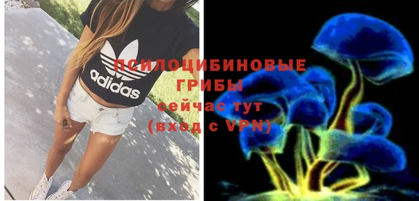 прущая мука Коряжма